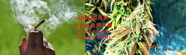 гидропоника Балабаново