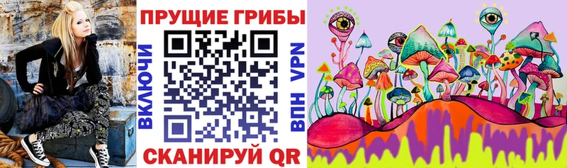 Псилоцибиновые грибы ЛСД  Валдай 